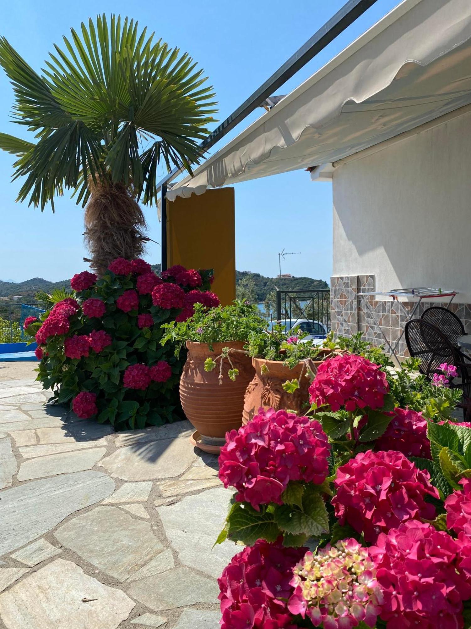 Demi Studios Amolianí Exteriér fotografie